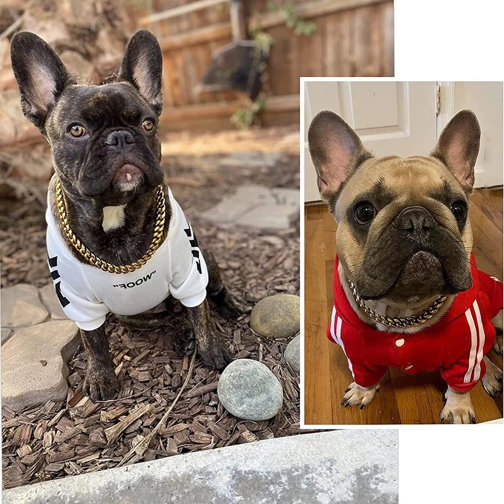 Durable Metal Puppy Collar in Various Colors