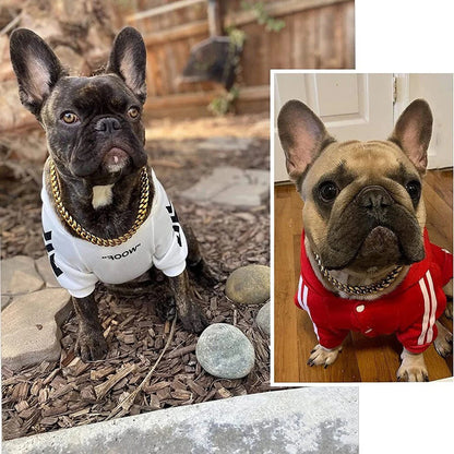 Durable Metal Puppy Collar in Various Colors
