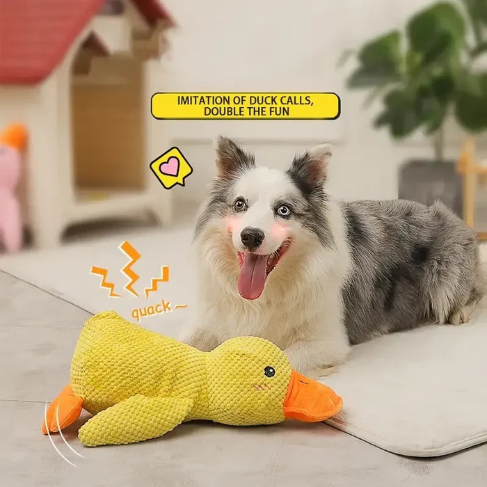 Cute Quacking Duck Plush Toy