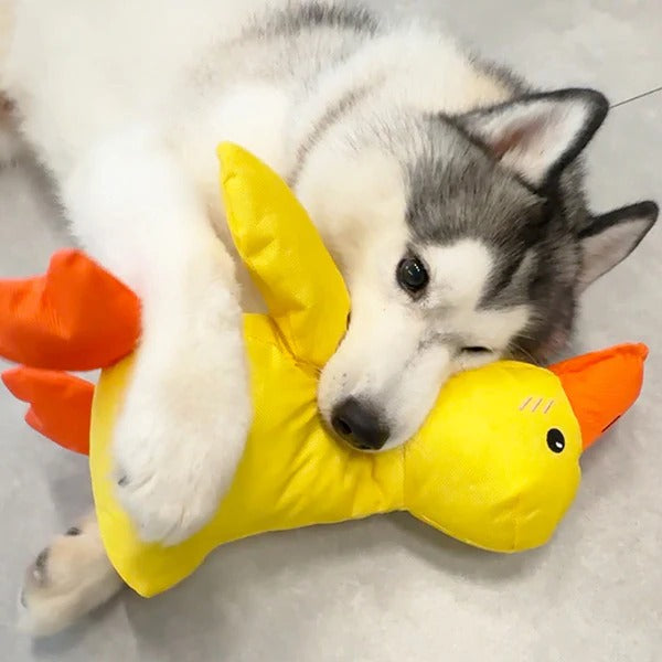 Cute Quacking Duck Plush Toy