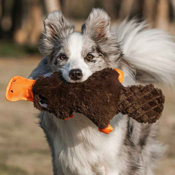Strong Teddy Guard Dog Toy