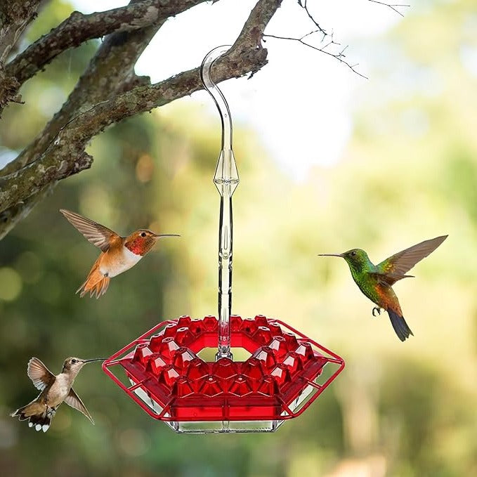 Hummingbird Feeder with Ant Moat for Outdoor Garden – 30 Flower Ports, Weather Resistant, Easy Fill Design for Backyard Bird Feeding