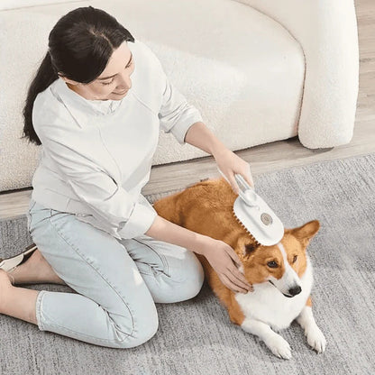Pet Grooming Kit with Steam and Detangling Tool