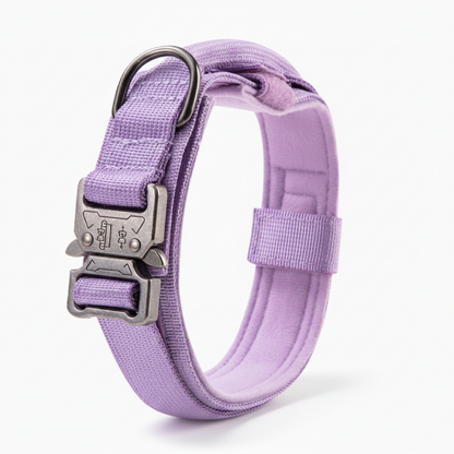 Padded Tactical Dog Collar with Handle – Adjustable Heavy-Duty Nylon for Training, Walks & Active Dogs