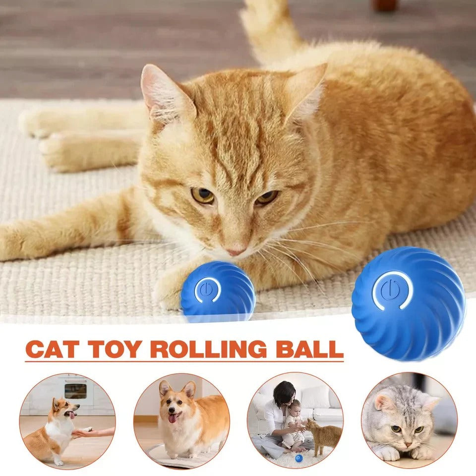 Fun Remote Control Rolling Ball Toy