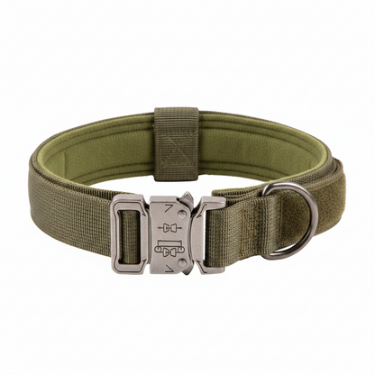 Padded Tactical Dog Collar with Handle – Adjustable Heavy-Duty Nylon for Training, Walks & Active Dogs