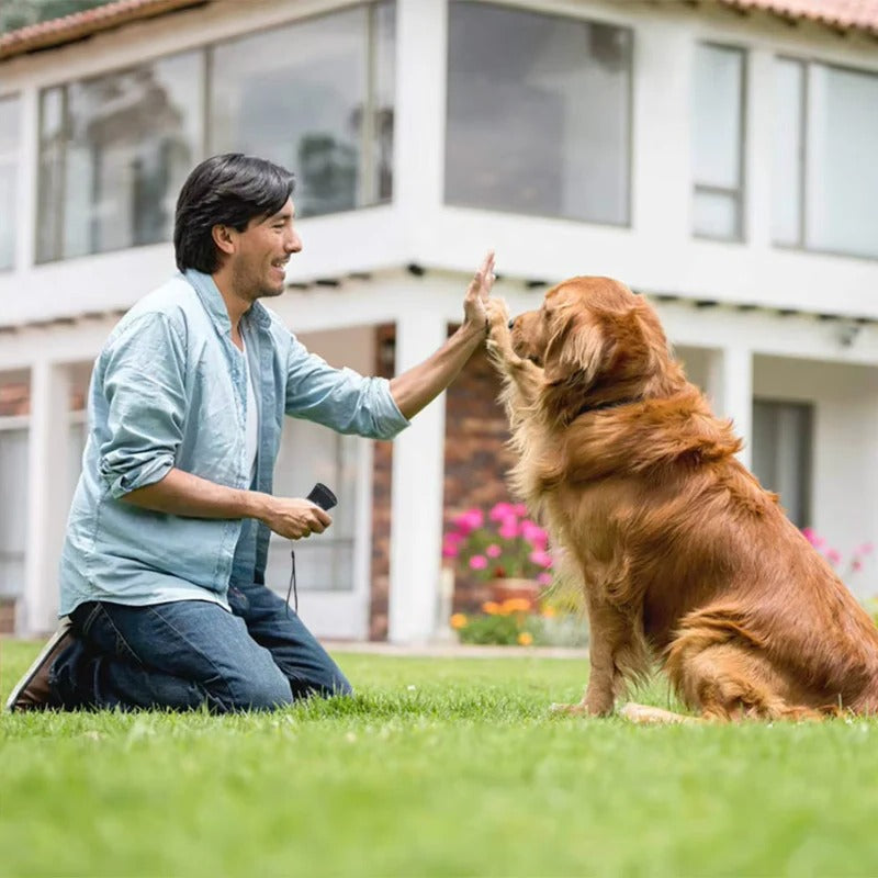 Effective Dog Bark Control Training Tool