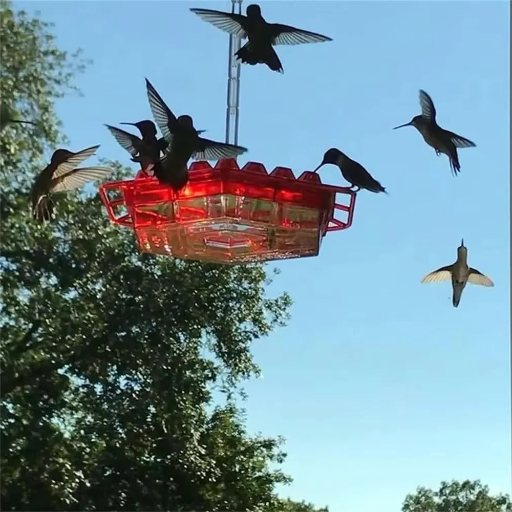 Hummingbird Feeder with Ant Moat for Outdoor Garden – 30 Flower Ports, Weather Resistant, Easy Fill Design for Backyard Bird Feeding