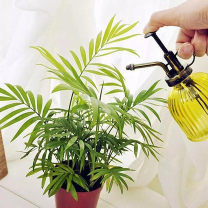 Vibrant Plant Spray Bottle