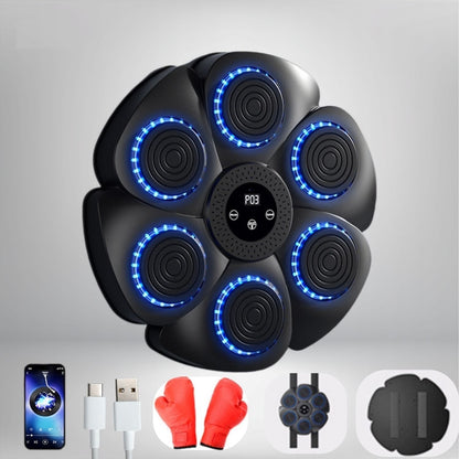 Wall-Mount Reaction Training Pad with LED Lights & Music for Home Workouts | Boxing Reflex Target Board for Kids & Adults | USB
