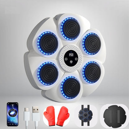 Wall-Mount Reaction Training Pad with LED Lights & Music for Home Workouts | Boxing Reflex Target Board for Kids & Adults | USB
