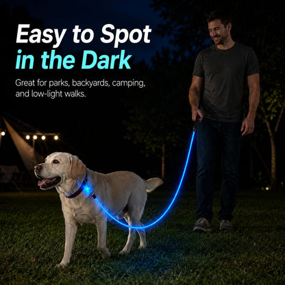 Ortekor NightGlow LED Light-Up Dog Leash for Night Walks - USB Rechargeable Safety Leash That Helps Your Dog Stay Visible in the Dark