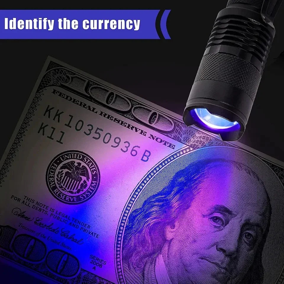Compact UV Flashlight | LED Inspection Lamp for Stain Detection | Portable Tool for Home Cleaning