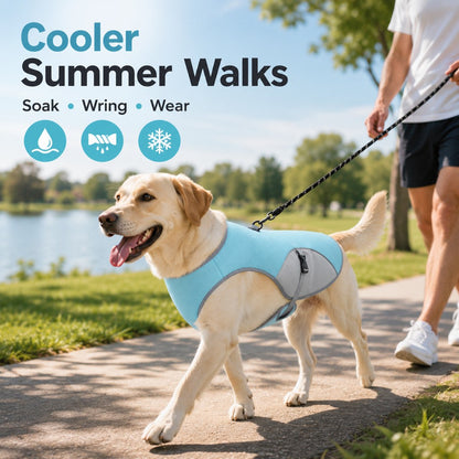 Ortekor Dog Cooling Vest for Summer Walks - Wet-to-Cool Lightweight Jacket with Leash Ring for Hot Weather Outdoor Comfort