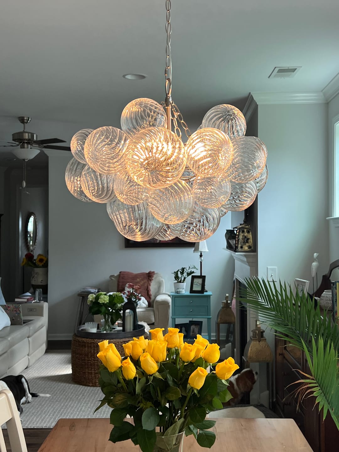 Multi-Globe Textured Glass Ceiling Fixture with Adjustable Chain Hardwired Dimmable Lighting for Dining Room Entryway Bedroom