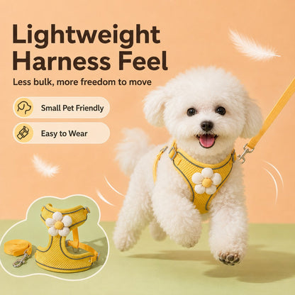 Ortekor Daisy Pet Harness & Leash Set for Daily Walks - Adjustable, Breathable Comfort for Small Dogs & Cats