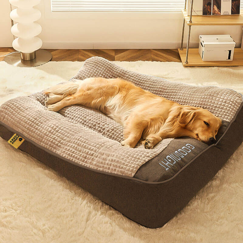 Elevated Edge Pet Bed with Raised Bolster – Plush Velour Orthopedic Dog Sleeping Mat for Joint Support, Removable Washable Cover, Medium