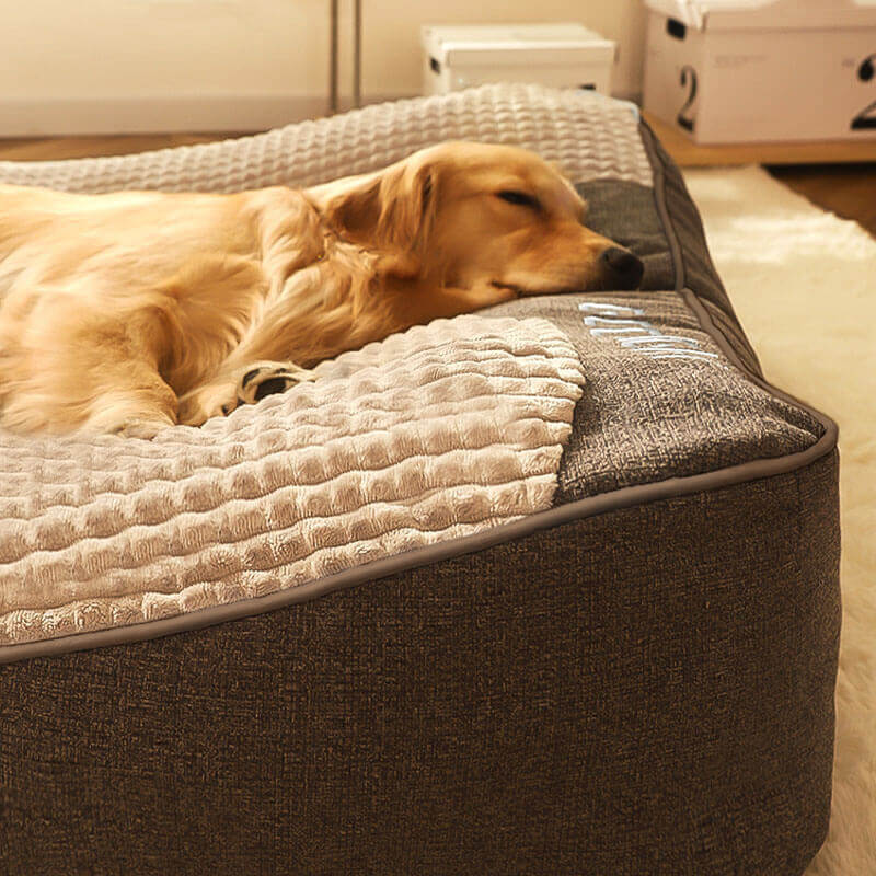 Elevated Edge Pet Bed with Raised Bolster – Plush Velour Orthopedic Dog Sleeping Mat for Joint Support, Removable Washable Cover, Medium