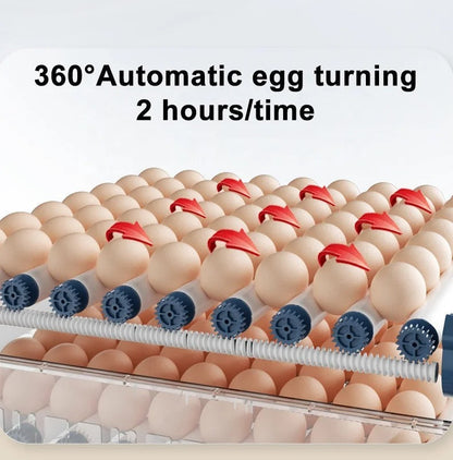 Automatic Egg Incubator with Digital Display & Auto-Turner for Chickens, Ducks & Poultry – 15, 24 or 36 Egg Capacity Home Hatcher for