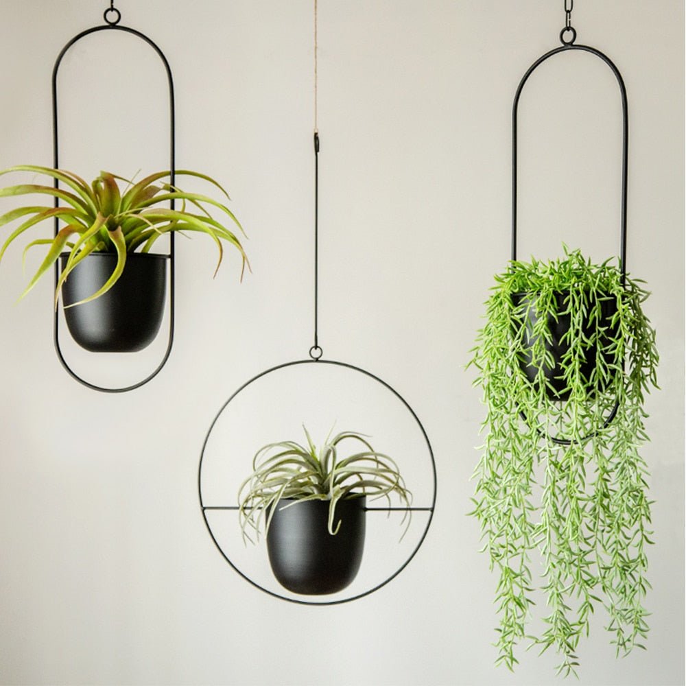 Wall-Mount Iron Planter 8 Inch Modern Floating Circle Halo Design for Succulents Herbs Indoor Outdoor Display Space-Saving Balcony Patio Apa