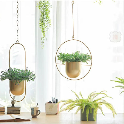 Wall-Mount Iron Planter 8 Inch Modern Floating Circle Halo Design for Succulents Herbs Indoor Outdoor Display Space-Saving Balcony Patio Apa