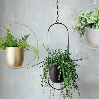 Wall-Mount Iron Planter 8 Inch Modern Floating Circle Halo Design for Succulents Herbs Indoor Outdoor Display Space-Saving Balcony Patio Apa