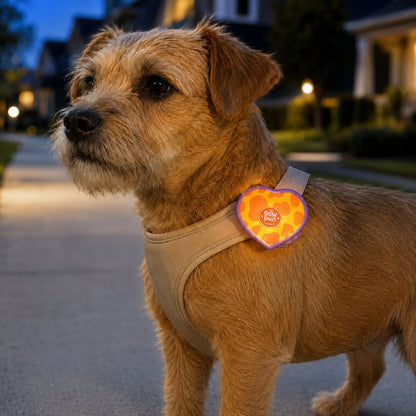 Ortekor Rechargeable Heart Pet Visibility Light for Evening Walks - Soft Wrap-On LED Patch for Collars, Harnesses & Leashes
