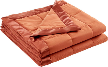 Windom Collection | Down Alternative Blanket with Moisture-Wicking Treatment | Lightweight & Soft Bed Cover for All Seasons, Satin Trim