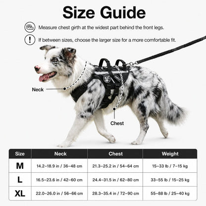 Ortekor Outdoor Dog Harness & Bungee Leash Set with Dual Handles, Storage Pouch & Patch Accessories for Hiking, Walking and Everyday Adventures