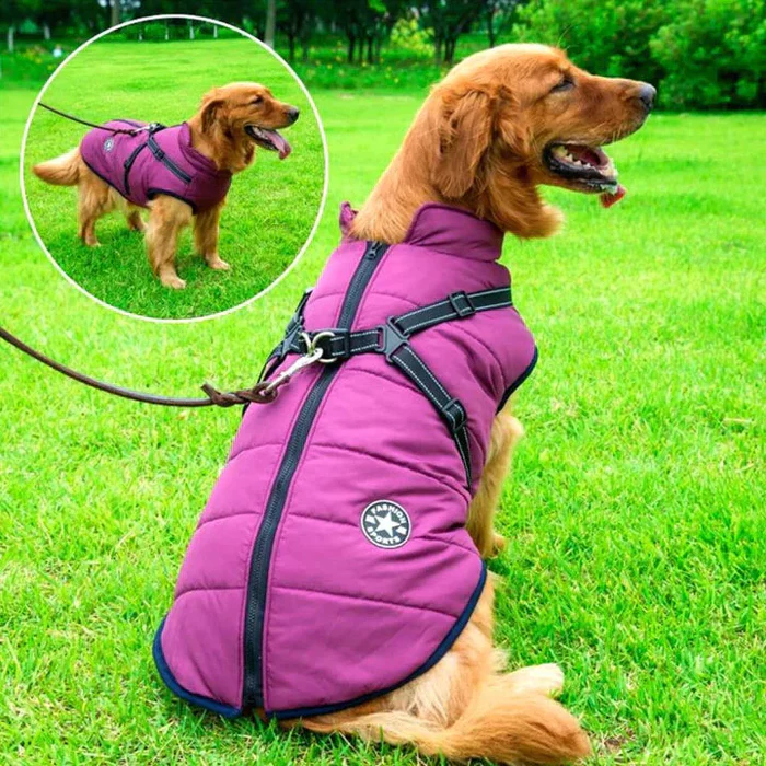 Cold-Weather Dog Coat with Fleece Lining & Leash Attachment — Weatherproof Outerwear for Active Pups, All Breeds, Reflective Safety Trim
