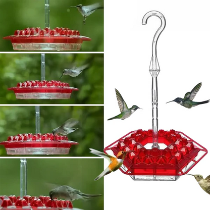Hexagonal Nectar Station for Hummingbirds – 30 Feeding Openings, Built-In Insect Barrier, 12 oz Capacity, Weather-Proof Design for