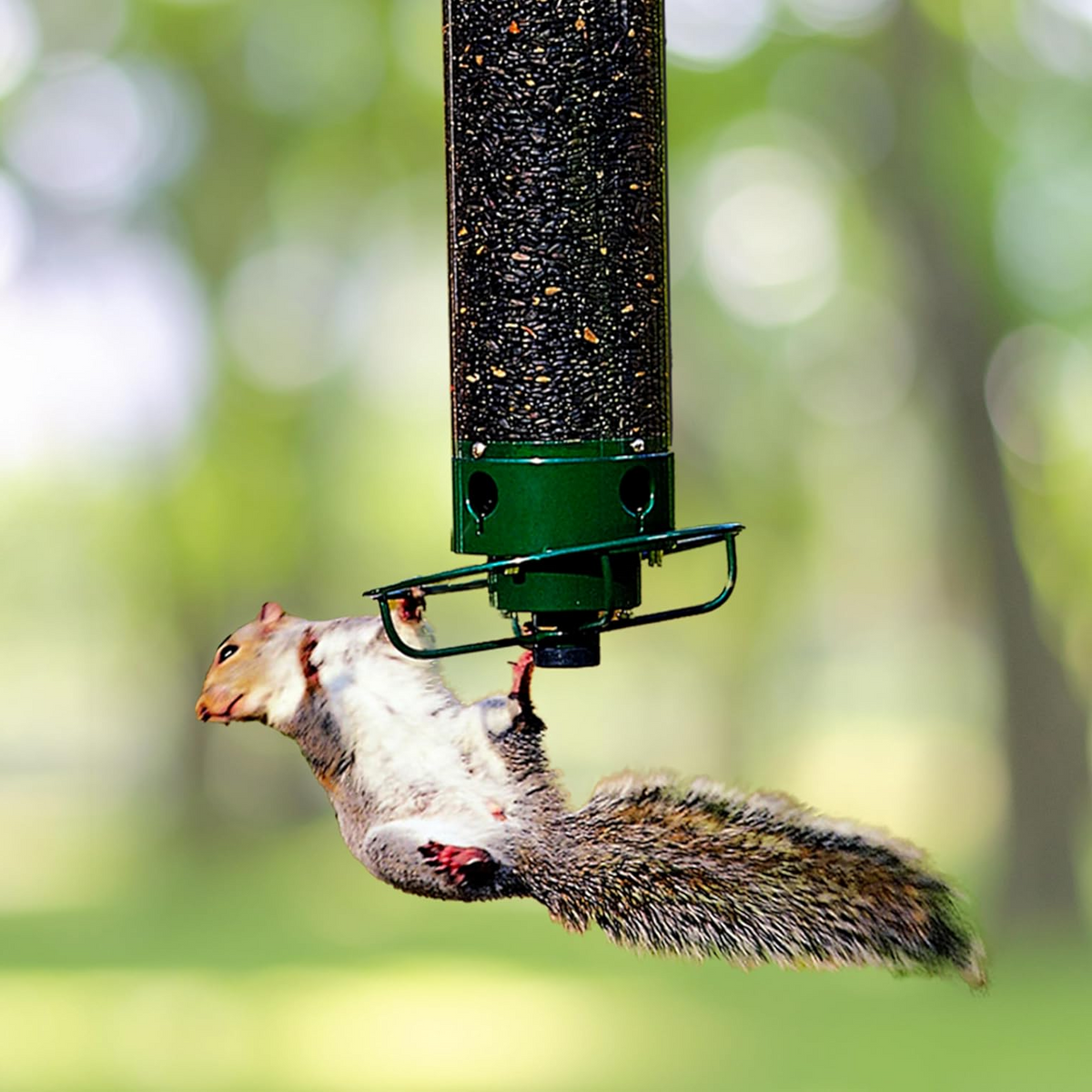Rotating Bird Feeder with Weight-Activated Spinning Perch for Outdoor Backyard Wildlife Feeding Station