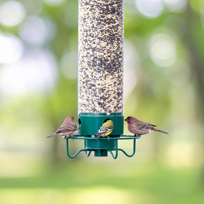Rotating Bird Feeder with Weight-Activated Spinning Perch for Outdoor Backyard Wildlife Feeding Station