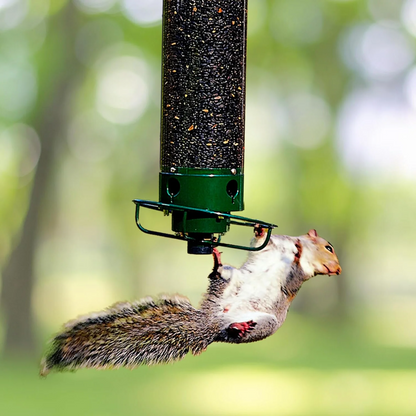 Weight-Activated Spinning Bird Feeder for Outdoors with Anti-Squirrel Rotating Perch Metal Seed Dispenser for Cardinals Finches Wild Birds B