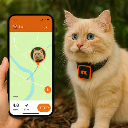 Real-Time Cat & Small Dog Location Monitor with Geo-Fence Alerts, Activity Tracking & No Monthly Fees – Subscription-Free Pet Safety