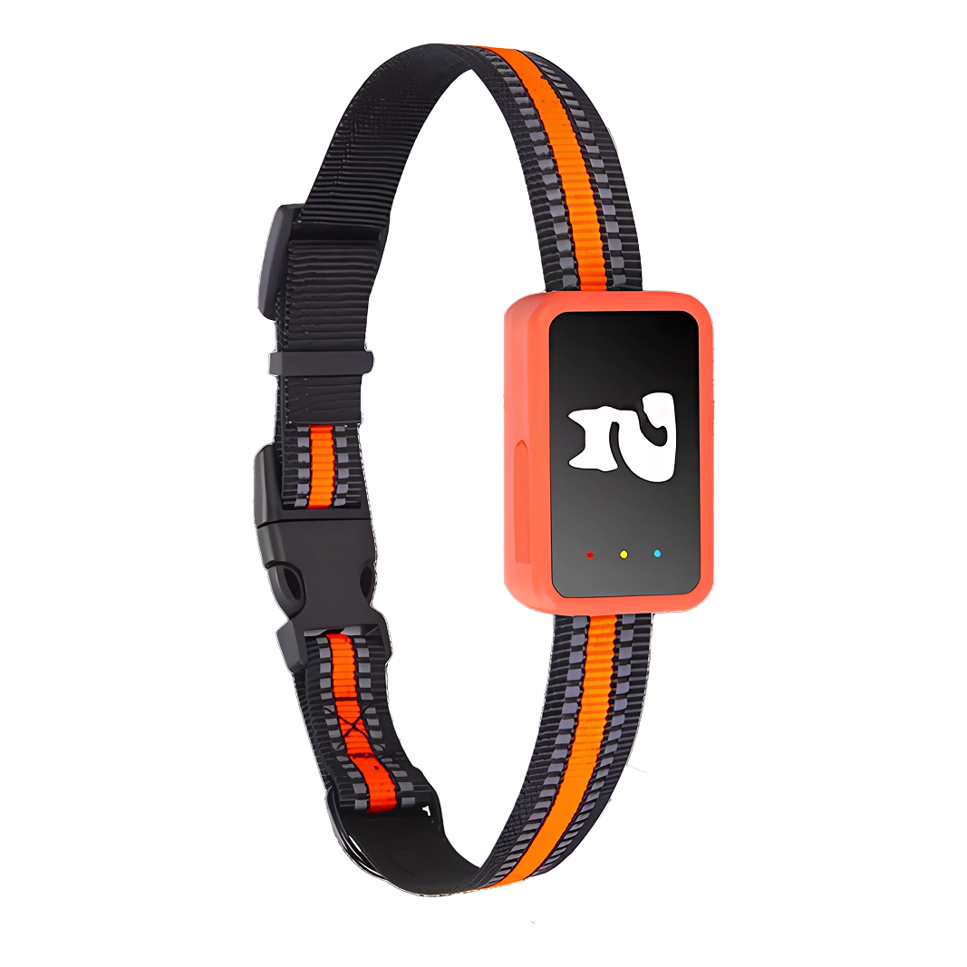 Real-Time Cat & Small Dog Location Monitor with Geo-Fence Alerts, Activity Tracking & No Monthly Fees – Subscription-Free Pet Safety