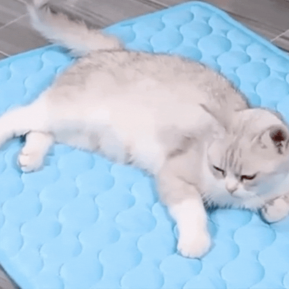 Pavo Dog Cooling Mat - Portable Cooling Gel, Lightweight Comfort