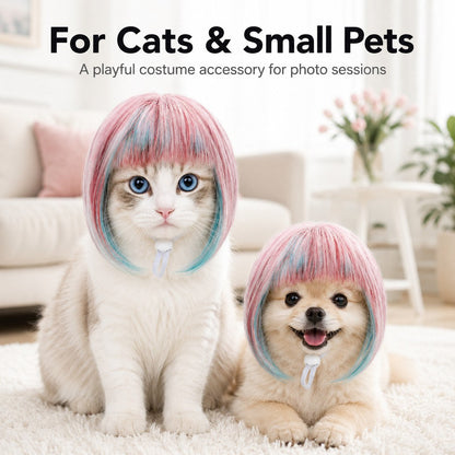 Ortekor Pet Cosplay Wig for Cats & Small Pets - Easy Party Photo Prop for Fun Birthday & Halloween Pictures