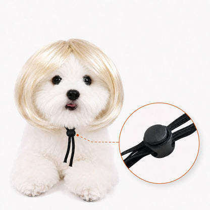 Ortekor Funny Short Bob Pet Wig for Photos & Parties - Easy Costume Prop for Cats & Small Dogs