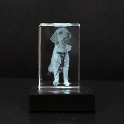 Customizable Crystal Picture Frame for Pet Memorial