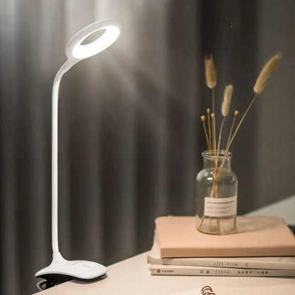 Portable Clip On Desk Lamp with Adjustable Arm