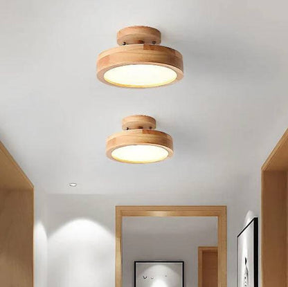 Bright Adjustable Color LED Ceiling Lamp