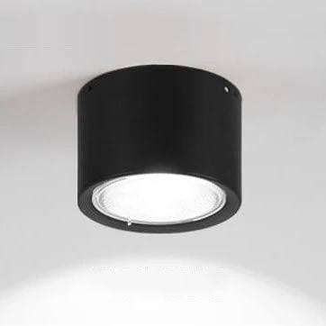 Bright Adjustable Indoor LED Downlight