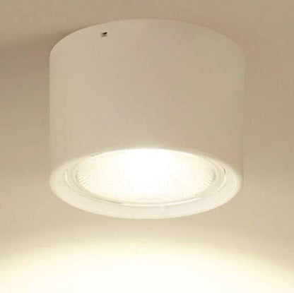 Bright Adjustable Indoor LED Downlight