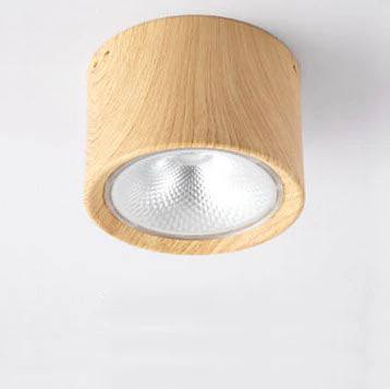 Bright Adjustable Indoor LED Downlight