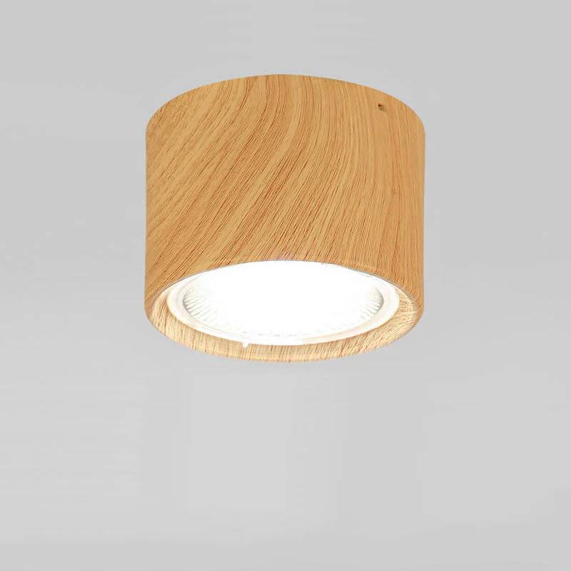 Bright Adjustable Indoor LED Downlight