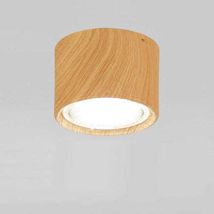 Bright Adjustable Indoor LED Downlight