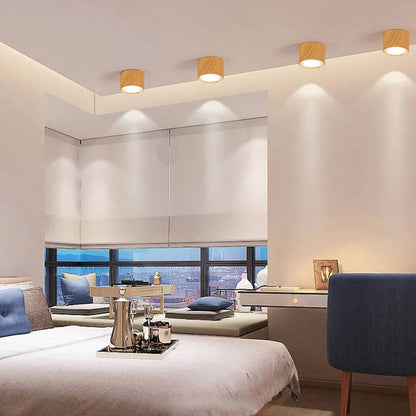 Bright Adjustable Indoor LED Downlight
