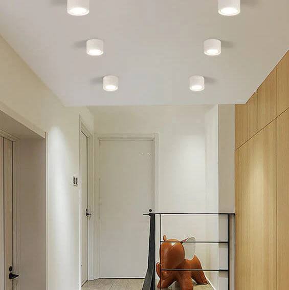 Bright Adjustable Indoor LED Downlight