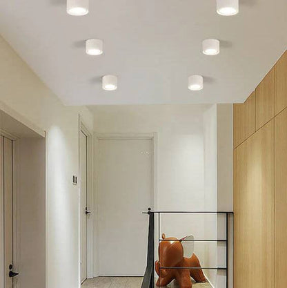 Bright Adjustable Indoor LED Downlight